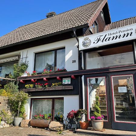 Hotel-Pension Flamm Braunlage Extérieur photo